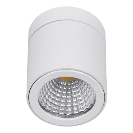 LED plafonska lampa LDA-07-3R W-Cormel-FORMA