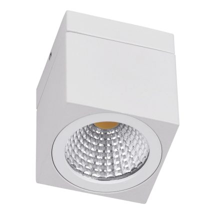 LED plafonska lampa LDA-07-3S W-Cormel-FORMA