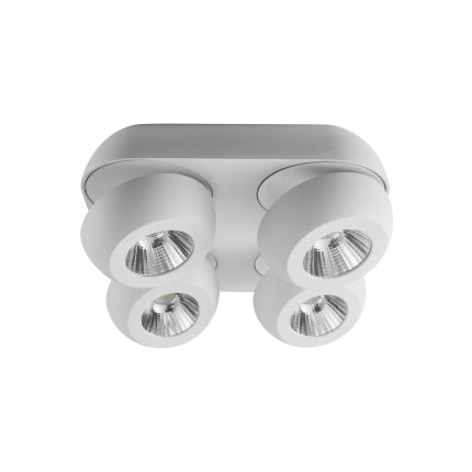 LED spot lampa LS106-4-Cormel-FORMA