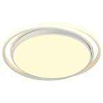 LED plafonska lampa F2821-55C WH - Slika 2