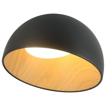 LED plafonska lampa FK2001-24C BK-Cormel-FORMA