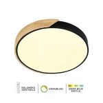 LED plafonska lampa F2811-30C BK-Cormel-FORMA