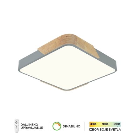 Plafonska lampa F2812-20C SV + DW-Cormel-FORMA