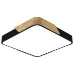 Plafonska lampa F2812-20C BK+WD-Cormel-FORMA