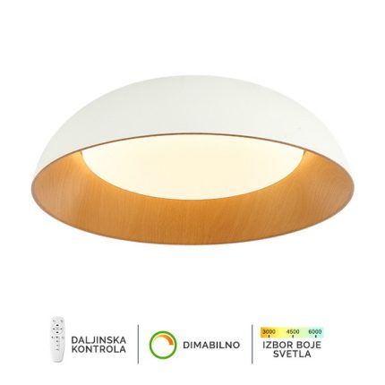 LED plafonska lampa FK2005-66C WH-Cormel-FORMA