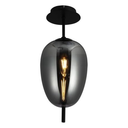 Plafonska lampa F4014-1C BK+SM-Cormel-FORMA