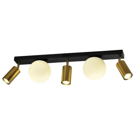 Spot lampa FG155-5 BK+SG - Cormel-FORMA