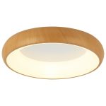 LED plafonska lampa F2081-58C WD - Slika 2