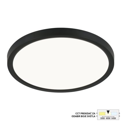 LED plafonjera LP-701-18 BK-Cormel-FORMA