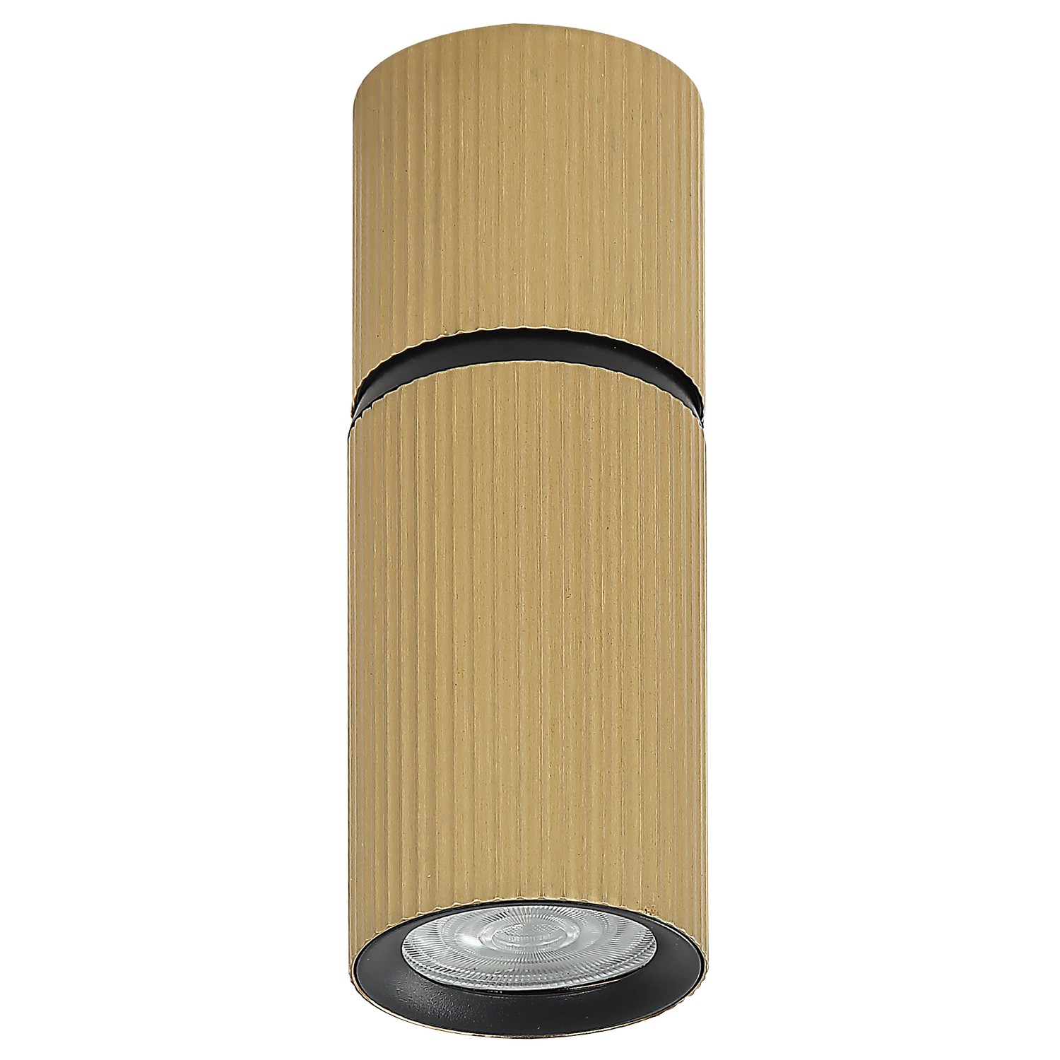 Plafonska lampa AFS117-1C SG - Cormel-FORMA Plafonska lampa AFS117-1C SG - Cormel-FORMA