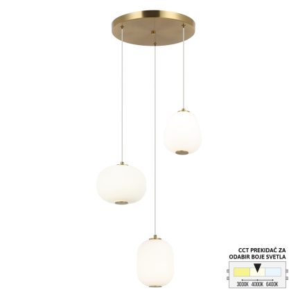 LED luster F2405-20L SG-Cormel-FORMA