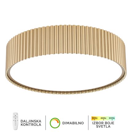 LED plafonska lampa F2095-67P SG